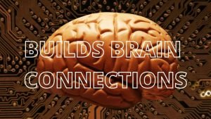 Coffee Builds Brain Connections Drinking coffee builds brain connections