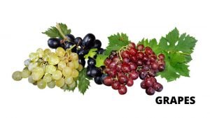 GRAPES-ARE-GOOD-FOR-YOUR GRAPES