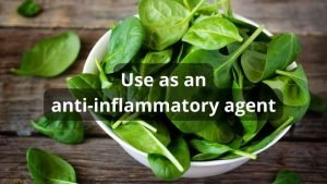Use as an anti-inflammatory agent Use as an anti-inflammatory agent